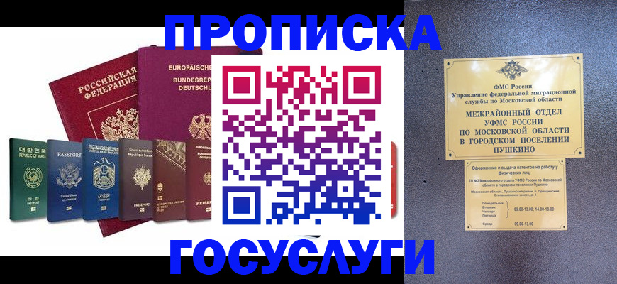 прописка поиск в Саранске